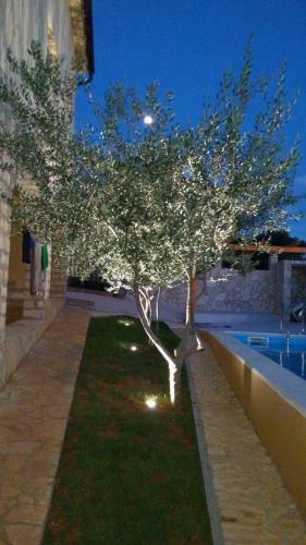 Apartments Slivnica Holiday