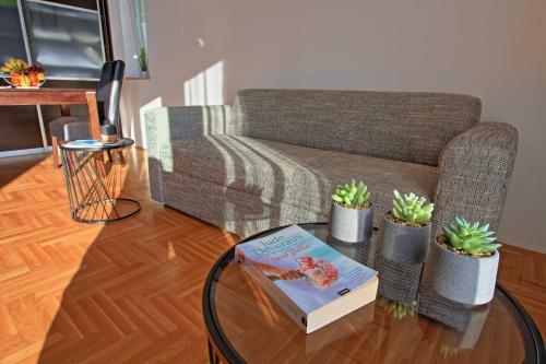 Studio Apartman Luka