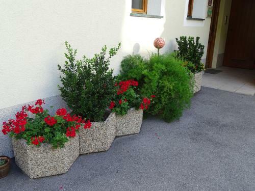 Apartamentos Appartement Sylvester