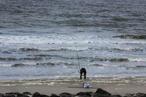 Knusse Vakantie Woning 2b