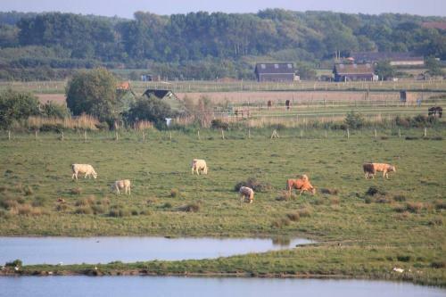 Knusse Vakantie Woning 2b