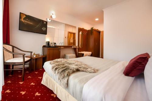 Apartamento Wild & Free - Ideal Room With A View