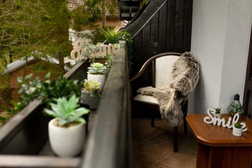 Apartamento Wild & Free - Ideal Room With A View