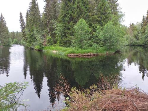 Sj�bo, Urlaub Direkt Am See