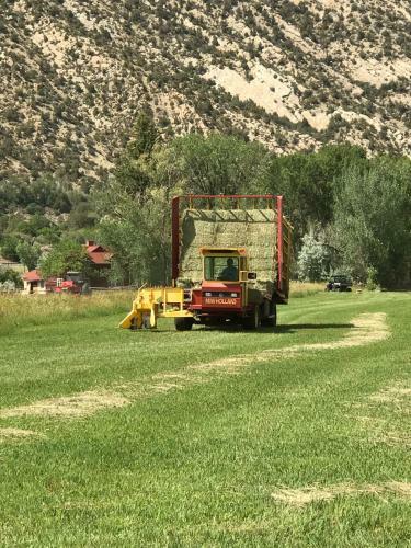 Colorado River Camp & Club