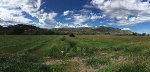 Colorado River Camp & Club