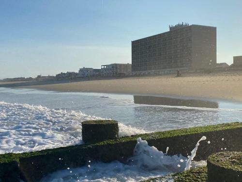 Beachfront Beauty