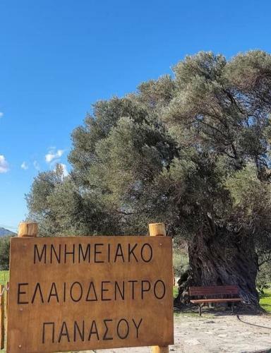 Apartamento Entire Home