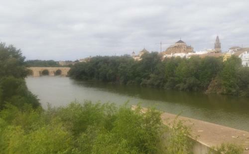 Apartamento Caprichos De La Mezquita