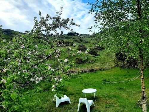 Guesthouse In Rad�y Island