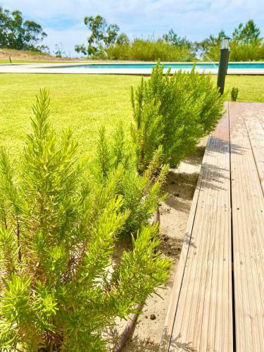 Apartamento Luxo Nazar�