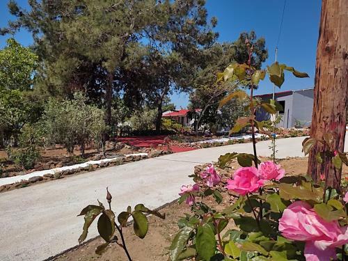 Apartamento Pefkari Bay Luxury Villas