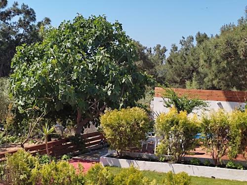 Apartamento Pefkari Bay Luxury Villas
