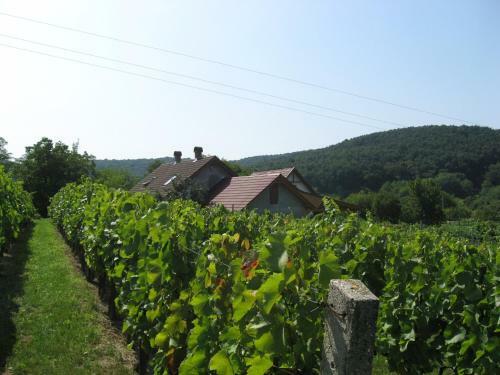 Apartamento Balatonlelle-kishegy