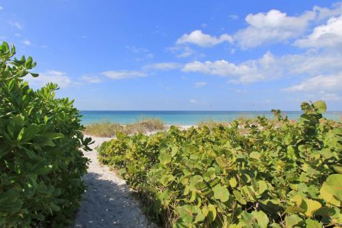 Belleair Beach Club 213