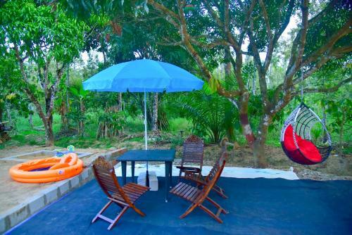 Agroturismo Vedaanti Farm Stay