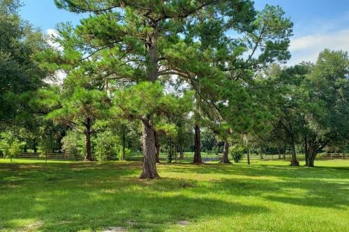 Little Ridge Ranch-west House-quiet Country Living