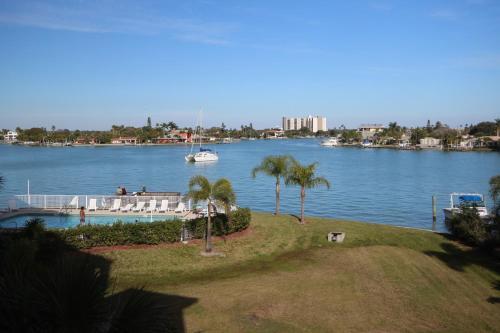 Palms Of Treasure Island 208