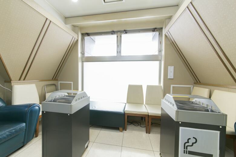 Bed & Breakfast Ace Inn Matsumoto