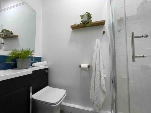 Bright & Spacious Edwardian Townhouse With Garden