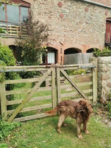 Beautiful Barn In The Tranquil Countryside