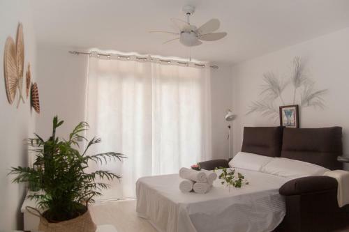 Apartamentos Thaisay Luz Del Mar II