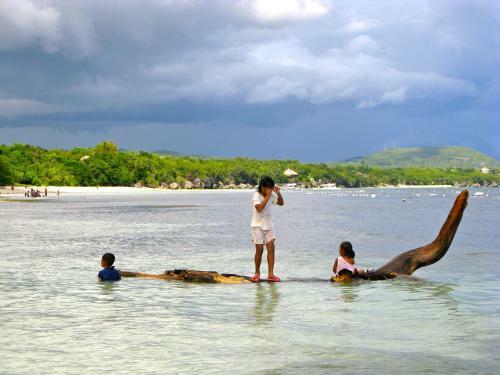 Hotel Alona Vida Beach Resort