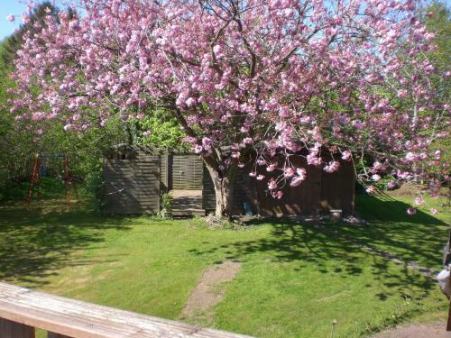 Apartamento V�lschow-hering Fewo "seerose"