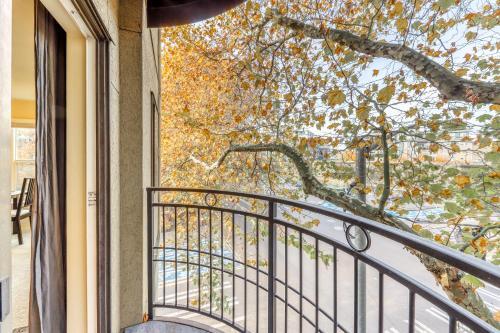 Vine Paradise & Montreux