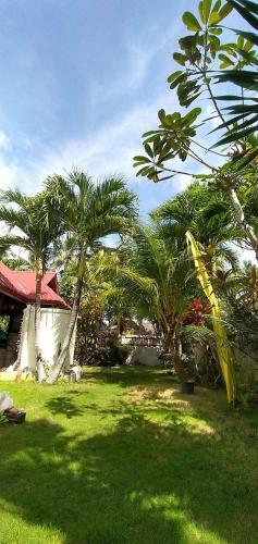 Hotel Alumbung Cottages