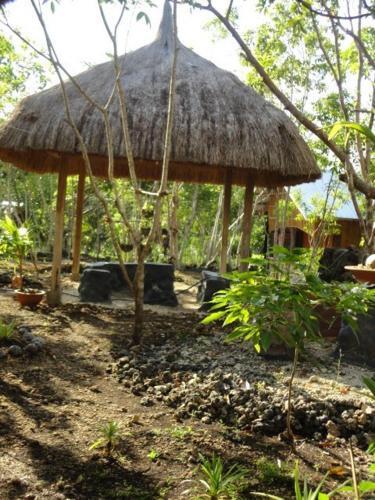 Albergue Bohol Coco Farm
