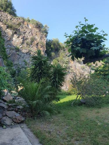 Apartamento Appart'hotel B�ar
