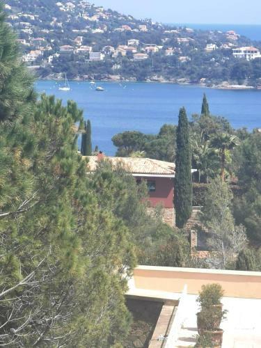 Apartamento Le Hameau Cap Est�rel