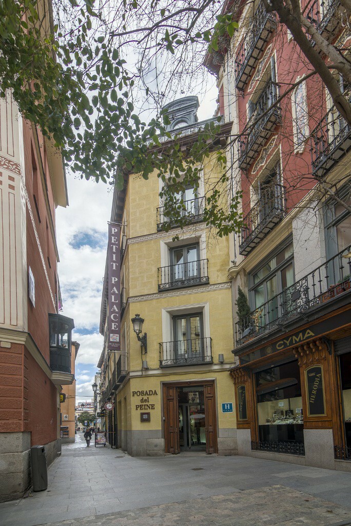 Hotel Petit Palace Posada Del Peine