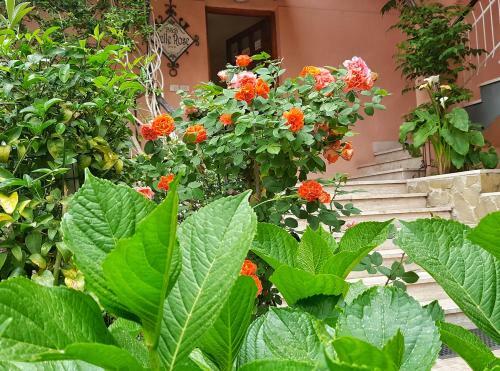 Bed & Breakfast Delle Rose