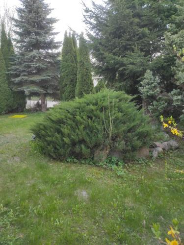 Apartamenty Z Ogrodem 2