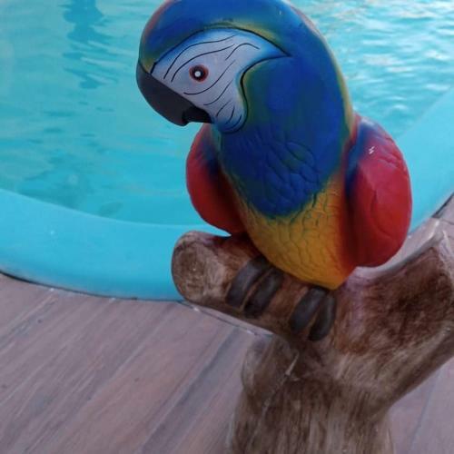 Posada Pousada Encontro Das Aguas