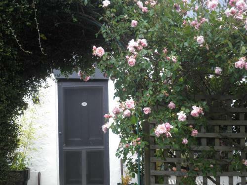 Bed & Breakfast Ivy On Glenelg