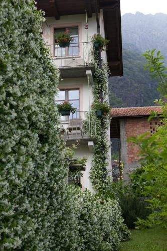 B&B I Corni Di Nibbio