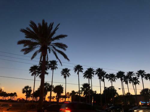 406 Madeira Norte Condo