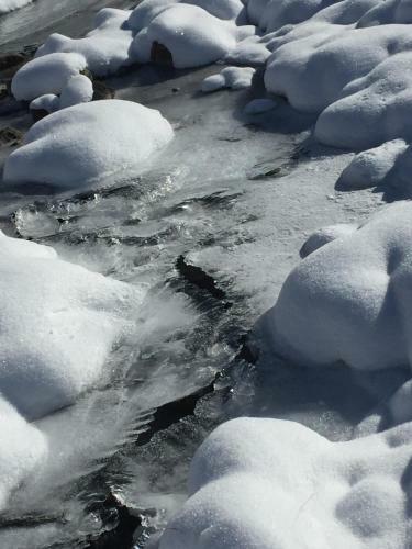 Hostal Bed & Breakfast Plattenhof