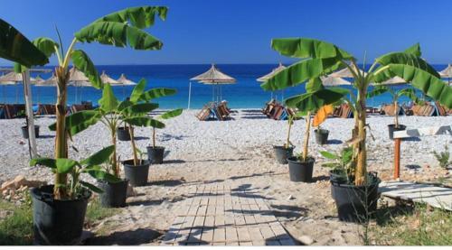 Apartamento Casa Sulla Spiaggia