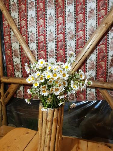 Bed & Breakfast Eko Guest House
