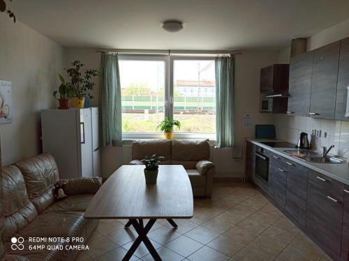 Albergue Ubytovac� Za?�zen� Karol�na