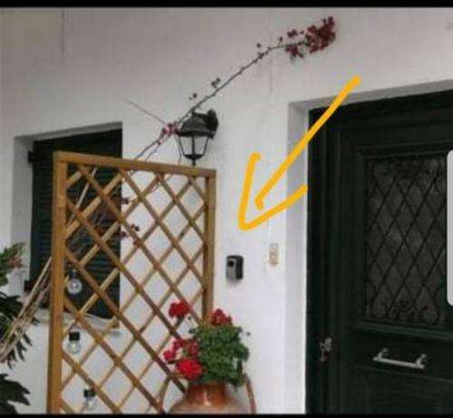 Apartamento Olga's Cozy Nest