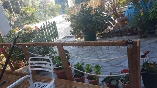 Apartamento Olga's Cozy Nest