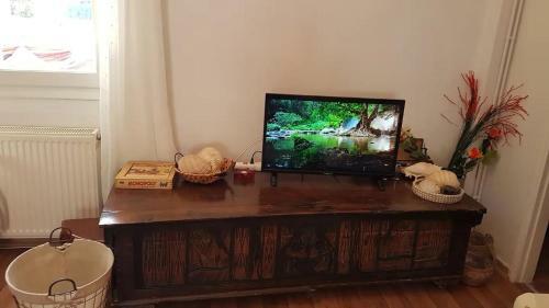 Apartamento Olga's Cozy Nest