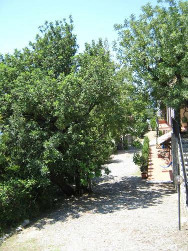 Apartamento Il Casalino