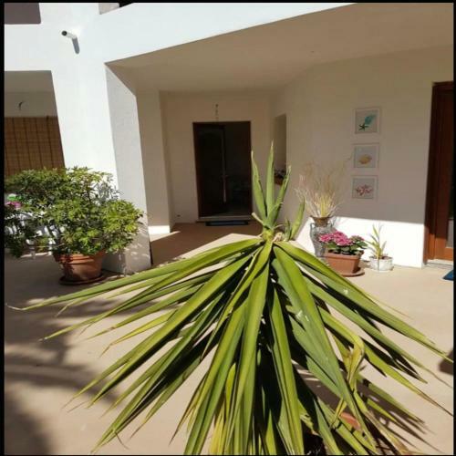 Villa Casa Vacanza In Riva Al Mare