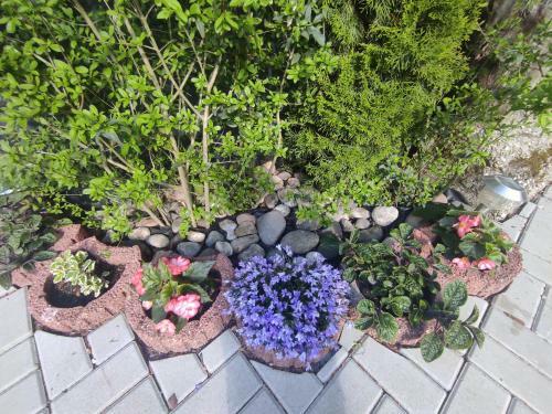 Apartamento Ubytovanie Na Zigmund ?achte